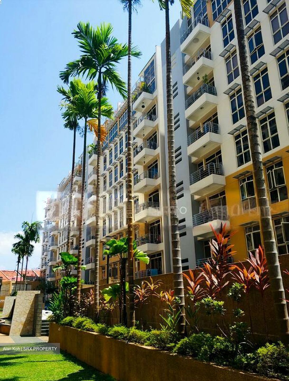 Sims Green (D14), Apartment #528799201